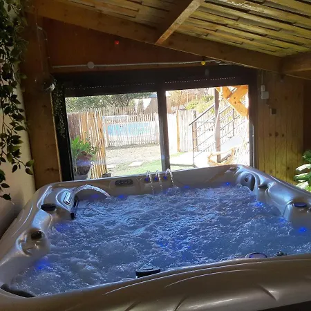 D Piscine Bed & Breakfast Alba-la-Romaine